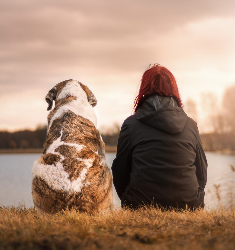 aktivdog-vorteile-hundeliebe Eine Frau sitzt am See und links von ihr sitzt ihr Hund. Sie schauen, während die Sonne untergeht, Verträumt auf den See und denken über die Vorteile von AktivDog Hundefutter nach.