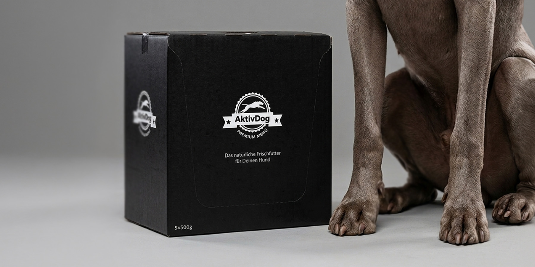 AktivDog_Box Weimaraner
